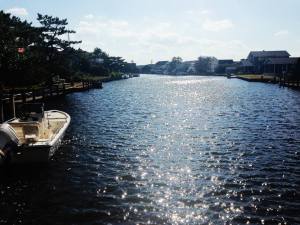 10418425_10204533087355533_6873004355393262225_n